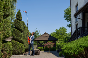 Landscaping Image